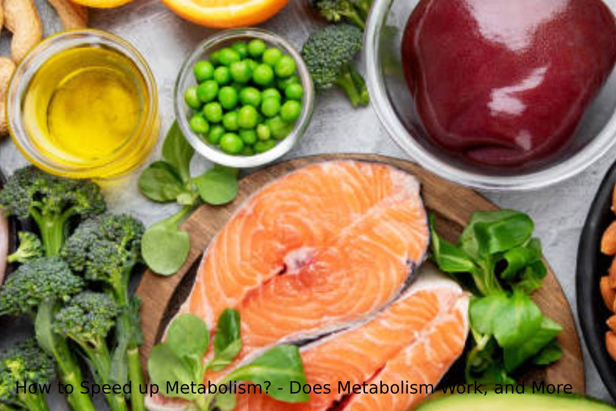 How to Speed up Metabolism? - Does Metabolism Work, and More